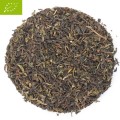 Spring_Darjeeling_czarna_delikatna_łagodna_herbata_Ronnefeldt_indyjska_z_indii.jpg