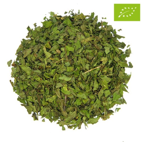 Moroccan_mint_mięta_marokańska_Ronnefeldt_herbata_ziołowa_napar_ziołowy.jpg