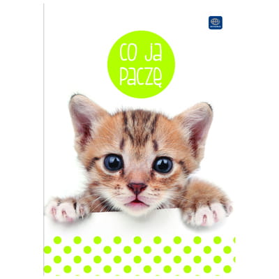 49765a39fad787131d8171c2db9f5ee744cb80c4