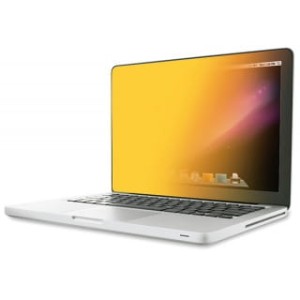 Bezramkowy filtr prywatyzujący 3M™ (GPF12.5W9), do laptopów, 16:9, 12,5", złoty