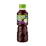 TYMBARK nektar porzeczka PET 0.3 L