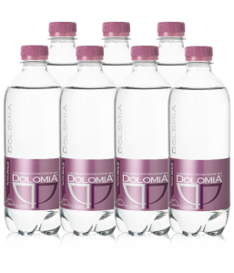 24X DOLOMIA 0,5L