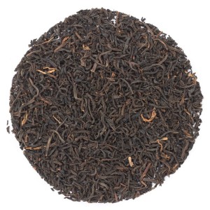 LIGHT & LATE®  CEYLON