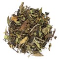 White_Mangodream_Mangotraum_biała_herbata_white_tea_Ronnefeldt.jpg