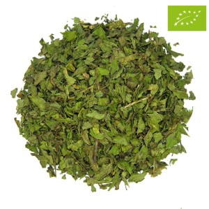 MOROCCAN MINT SP